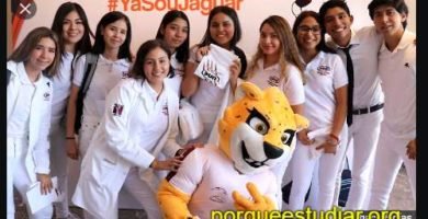 Becas para Estudiar Medicina