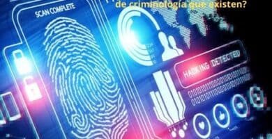 Cuáles son los tipos de criminología que existen