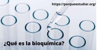 Porqué estudiar Bioquímica