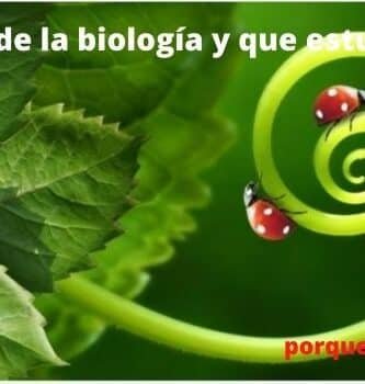 Que estudia la biología